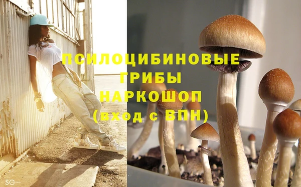 ГАЛЛЮЦИНОГЕННЫЕ ГРИБЫ Иннополис