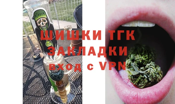 соль ск Инсар