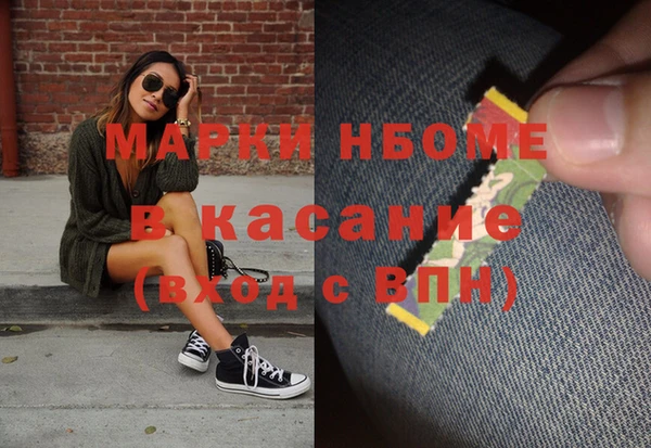 соль ск Инсар