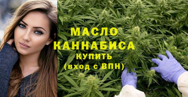 соль ск Инсар