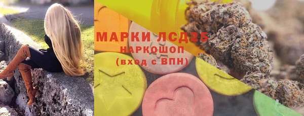 ГАЛЛЮЦИНОГЕННЫЕ ГРИБЫ Иннополис