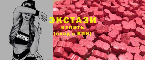 соль ск Инсар