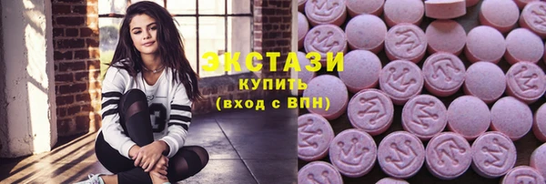 соль ск Инсар