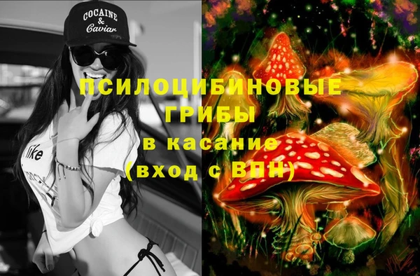 соль ск Инсар