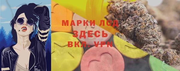 ГАЛЛЮЦИНОГЕННЫЕ ГРИБЫ Иннополис