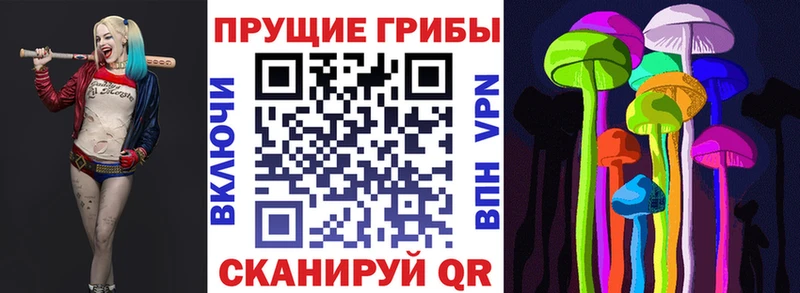 Купить где  Игарка  Псилоцибиновые грибы мицелий 
